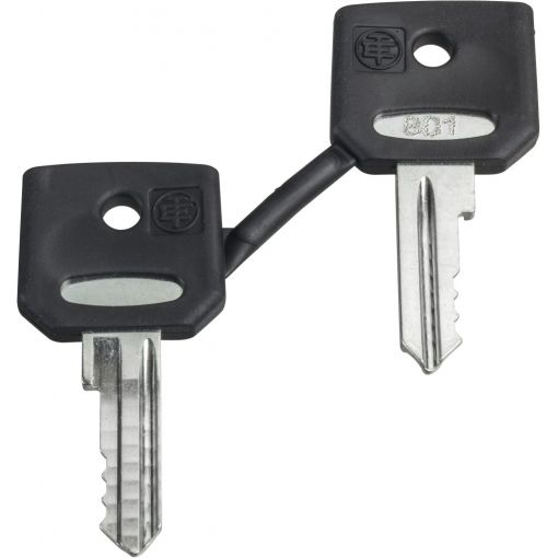 Ersatzschlüssel für Pilzdrucktaster mit Rastung, Schlüsselschalter, 22 mm | Befehl-Meldegeräte