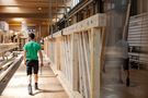Mitarbeiter schreitet entlang Teiles der Holzkonstruktion des Haberkorn Gartens in Tischlerei vorbei