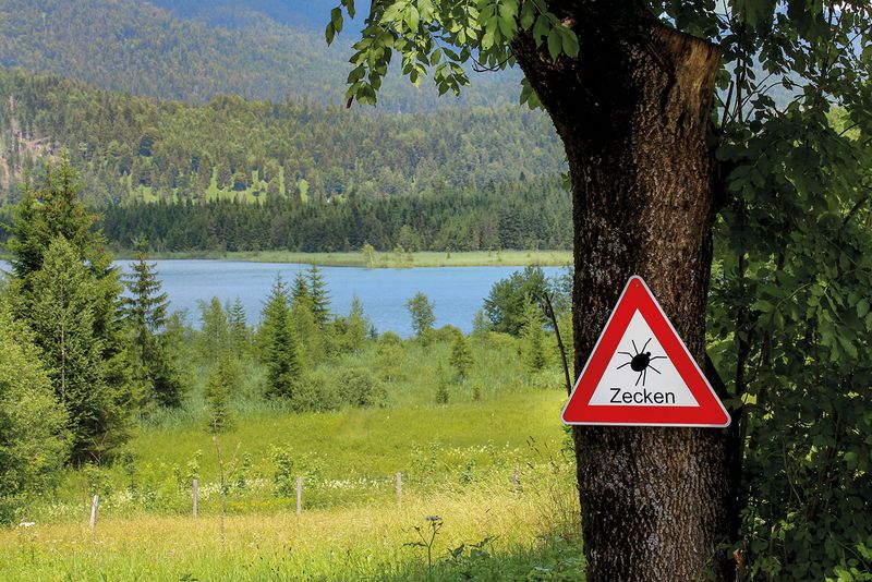 Schild in der Natur mit Bergen und See, das vor Zecken warnt