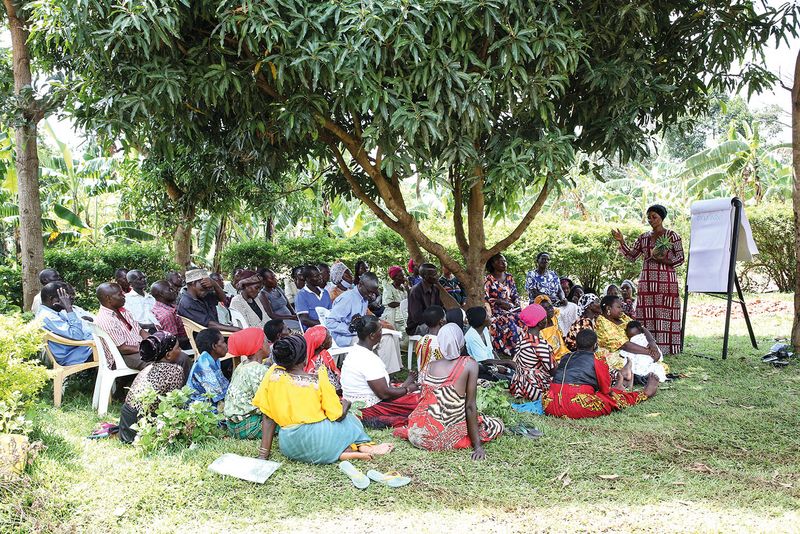 Unterstützung für Kleinbauern in Uganda